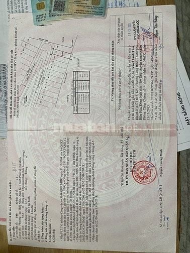 Chủ cần bán gấp nhà tặng 6 phòng trọ