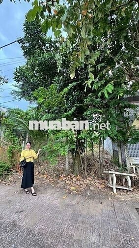 🔥🔥NỀN full thổ cổng chính KCN AN HIỆP 🌍 Diện tích: 111 m2 (ngang 5×23m