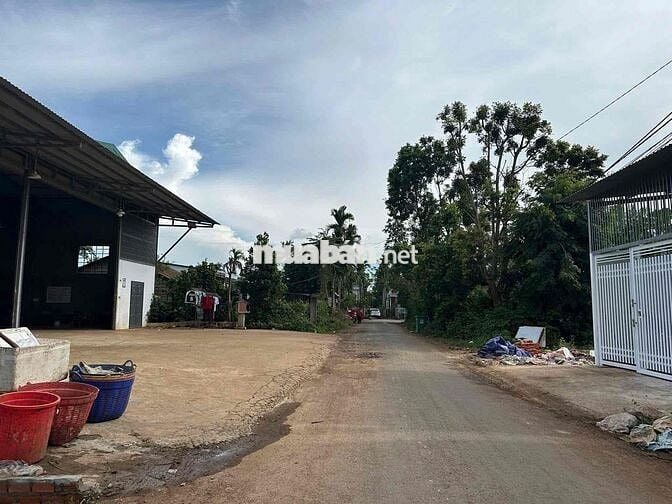 CẦN BÁN LÔ GÓC 2 MẶT TIỀN PHƯỜNG TÂN AN .