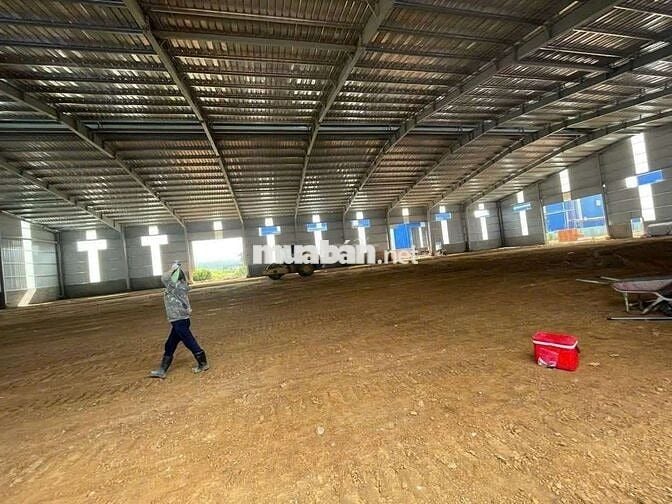Cho thuê xưởng 12000m2 tại Vĩnh Tân Tân Uyên Bình Dương