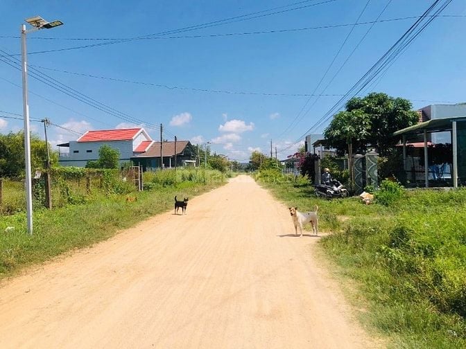 Siêu Phẩm Đất Xào Gần Biển Lagi 23x75m (2422m2) Thổ cư Mặt tiền Đường 