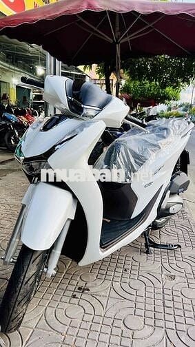 sh 160 mới 2025