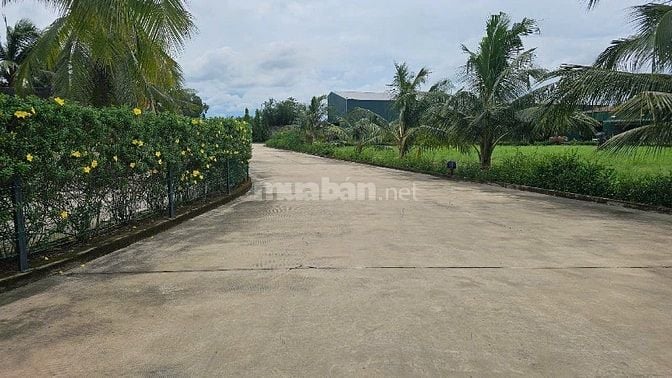 Cho thuê kho xưởng 1.000m2 - 2.000m² Bến Lức, Long An , giá: 70k/m2/TH