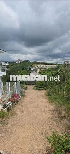 ĐẤT FULL THỔ ĐẦU TƯ NGHỈ DƯỠNG, VIEW THÔNG GIÁ TỐT