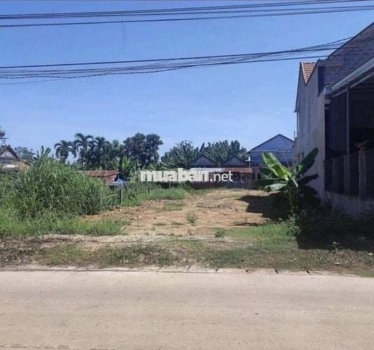 Đất ở thị trấn Tầm Vu đang cần bán gấp, 520 triệu/100m2, đất chính chủ