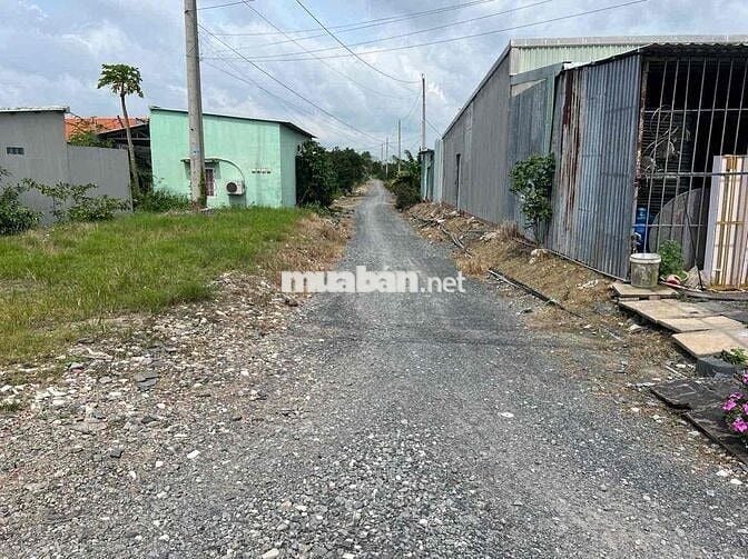 500m Đất Thổ + Vườn Sát Đường Vành Đai 4