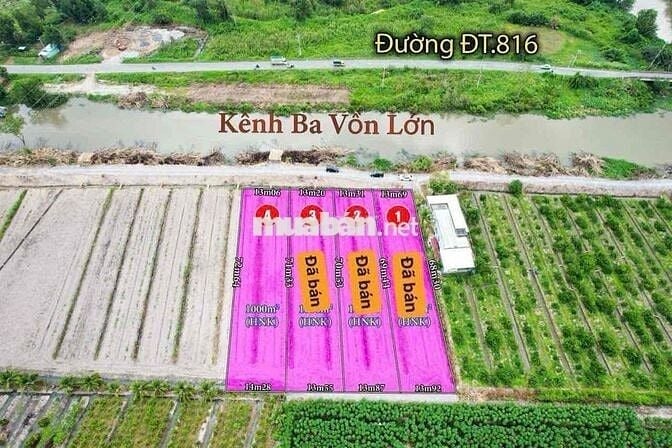 Hàng Vip - Đất Vườn MT Nhựa 816 View Kênh Siêu Mát