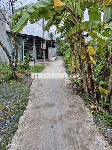Cần bán 141m2 đất thổ đường liên xã Phước Lý - Mỹ Yên