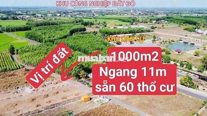 Đất Long Đất - Tp.HCM 1000m2 có thổ cư chính chủ bán