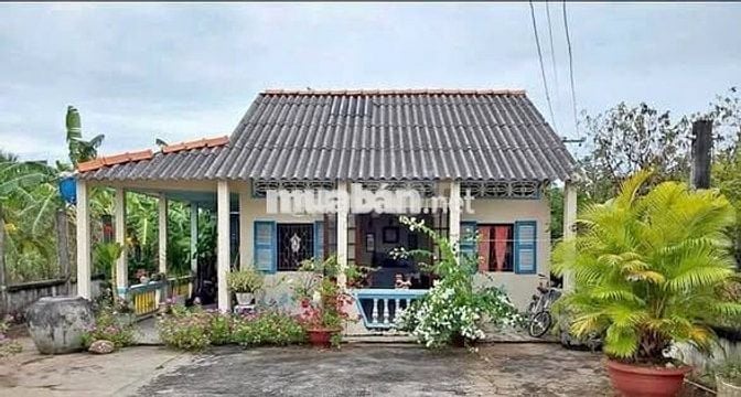 Bán đất tại Quang Trung, Thống Nhất, Đồng Nai, 980 triệu, 1300 m2