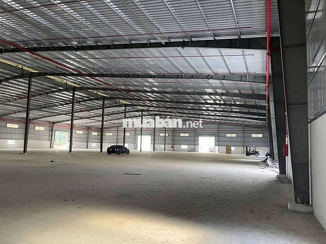 Cho thuê xưởng 20.000m2 tại mặt tiền cực đẹp ở Tân Uyên Bình Dương