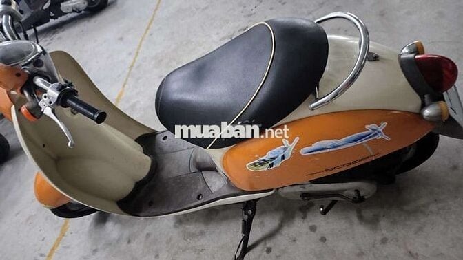 Xe scoopy Nhật 50cc