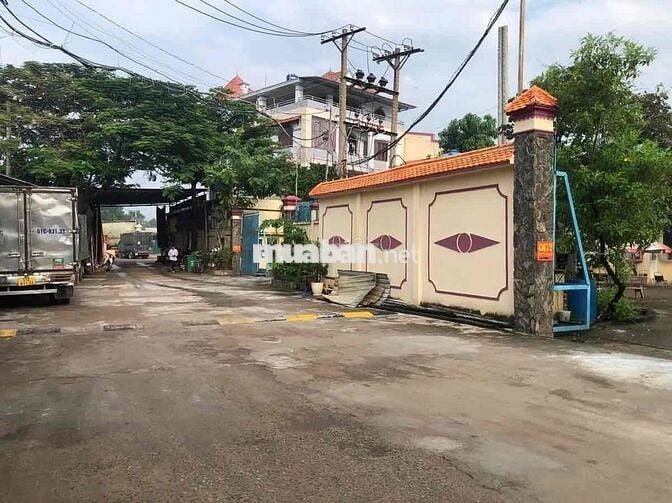 BÁN NHÀ ĐẤT TRIỆU ĐÔ, BÌNH TÂN, 14000m2, DOANH THU 1,5 TỶ/NĂM