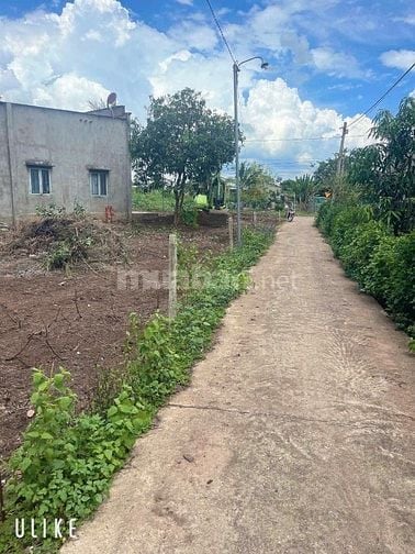 Đất nông nghiệp có thổ cư cần bán 