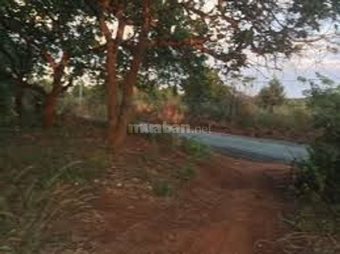 Bán đất tại Đường Suối Chồn - Bàu Cối, Xã Bảo Quang, Long Khánh