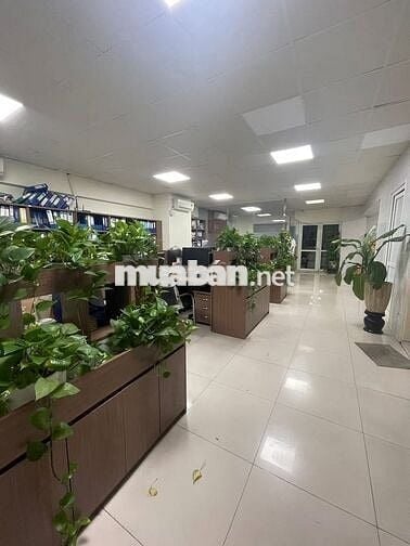 BÁN CĂN HỘ 120M TÒA N4D KĐT TRUNG HOÀ - NHÂN CHÍNH PHỐ HOÀNG ĐẠO THUÝ