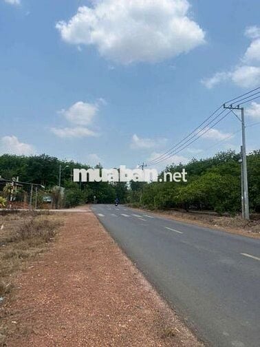 500triệu/lô Tân Hưng - Bình Phước