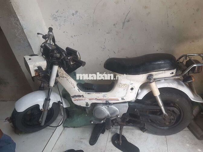 Cần bán xe chaly 81 Honda 50 như hình