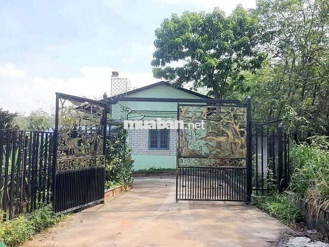 Nhà vườn nghỉ dưỡng chỉ vài trăm ở TPHCM
