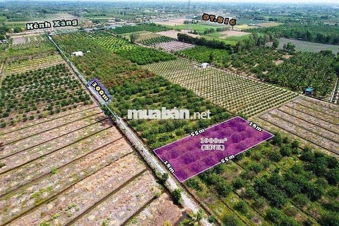 1000m Đất Vườn DT Đẹp 18x55m Có Thể Hiện Đường