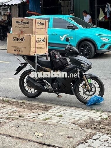 Winner V3 2023