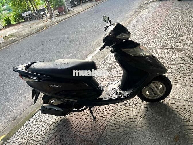 Bán atila chân bấn có giấy tờ
