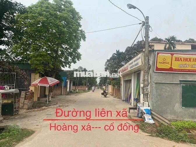 CẦN BÁN ĐẤT 60M2 x MT 4.5M 1.8 TỶ TRỤC CHÍNH HOÀNG XÁ, LẠI THƯỢNG, HN