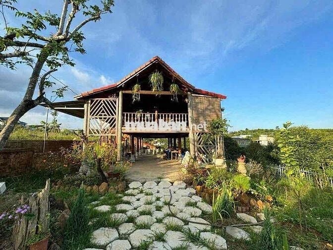 Homestay nhà gỗ ngay trung tâm P. Lộc Sơn Bảo Lộc DT: 520m2 - TC 270m