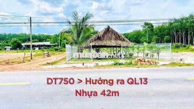 Đất nền 100m2 Long Hòa, Dầu Tiếng. Sổ sẵn, công chứng ngay
