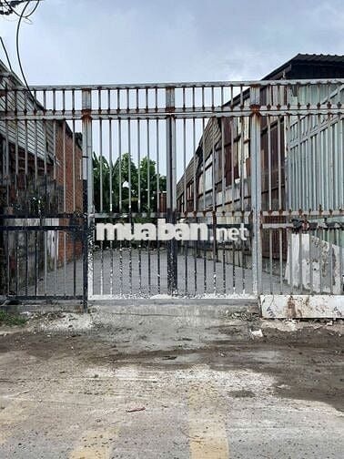 Đất Mặt tiền SHR Đ.10m 116m2 – Nguyễn Thị Nhuần Quận 12
