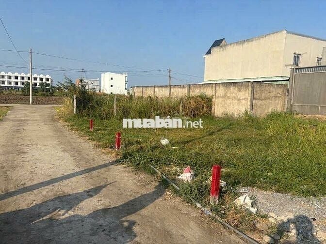 Cách QL50 60m ,120m2 thổ, thị trấn Cần Đước. 444tr bao sổ , ngộp giá.