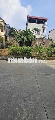 🎯 🎯Hoa Hậu 56m2 Ninh Cầm, Tân Dân, Đường Trục 6m - Thông ô Tô