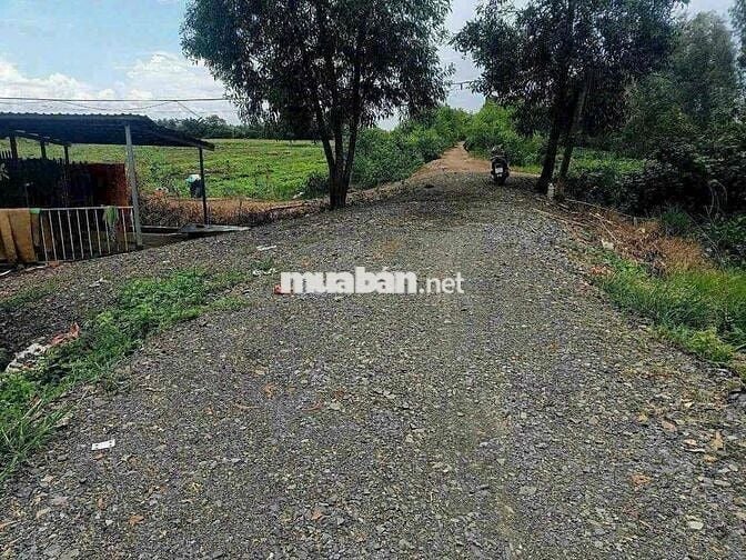 1000m Đất Vườn View Kênh Đường 10m chỉ 650tr