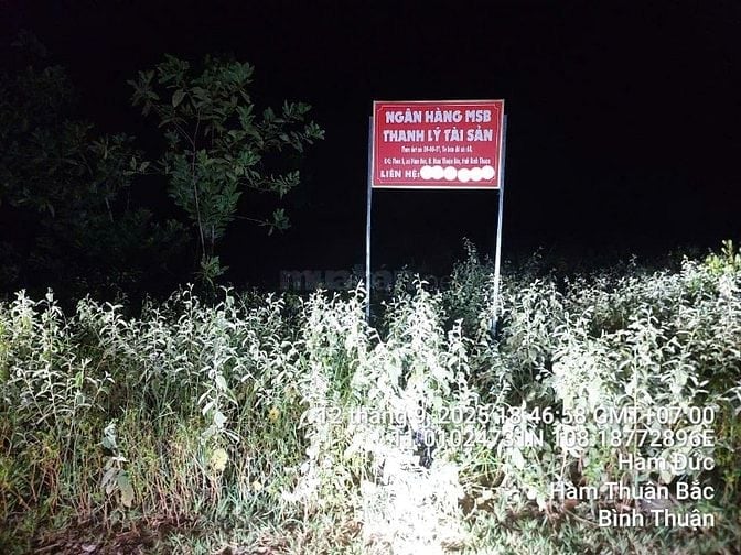 Công ty đấu giá hợp danh Sao Việt 