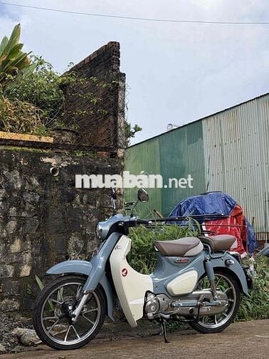 HONDA CUB C125 2024