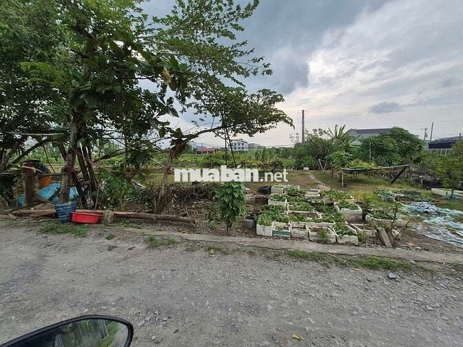 Bán đát MT Gần ql50, Tân Kim, Long An, 990 triệu, 80m2, SHR!