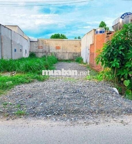 Đất chính chủ, full thổ ở thị trấn Cần Giuộc, 680 triệu/100m2