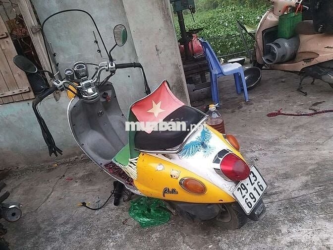 Xe suzuki chong hình