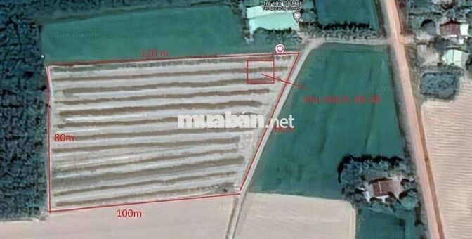 Mảnh vườn mẫu tâm huyết cần ra đi