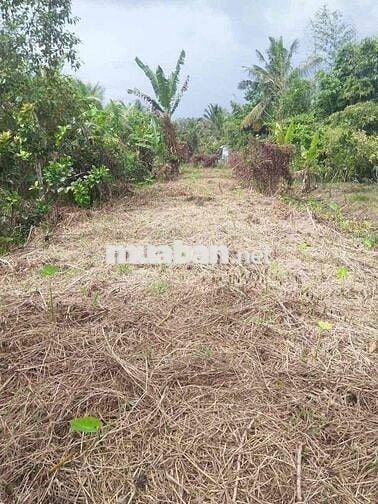 Đất CLN, diện tích 580m2, phường Hưng Thạnh, Cái Răng