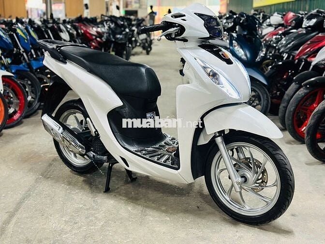 XE MÁYTHANH TÙNG_VISION 110 TRẮNG ĐỘ BIỂN 29
