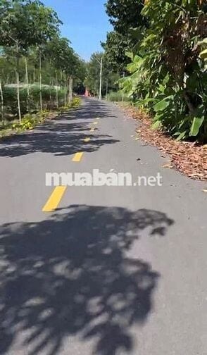 Bán lô đất 200m2 GIÁ 350 Triệu tại Bình Dương-đất nằm ngay tỉnh lộ 749