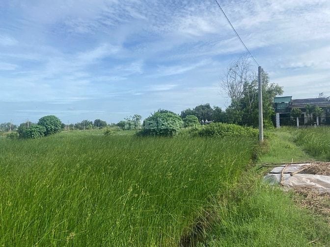 Cần tiền bán đất  Tổng diện tích 2.500m2, trong đó có 900m2 thổ cư, 