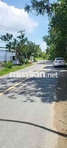 Bán vườn 1500m2 mặt tiền Nguyễn Văn Tạo, Xã Hiệp Phước, Nhà Bè
