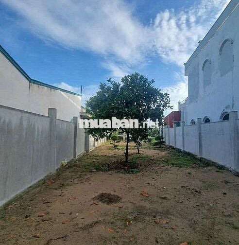 chính chủ bán lô đất MT Đ Tân Long,Tân Nhựt , Bình Chánh giá 1tỷ 530