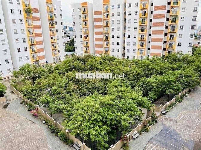 Bán căn chung cư Nest Home view pháo hoa quốc tế