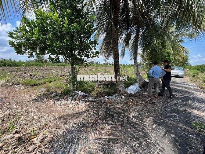 1000m DT Đẹp 20x50m sổ hiển thị đường