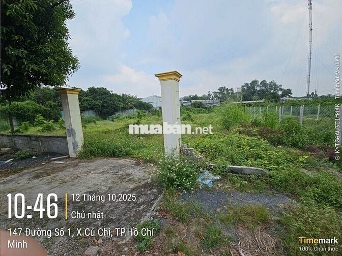 Ngộp bán nhanh 133m2 thổ 1/ Trần Văn Chẩm - Phước Vĩnh An. Giá 1,5 tỷ