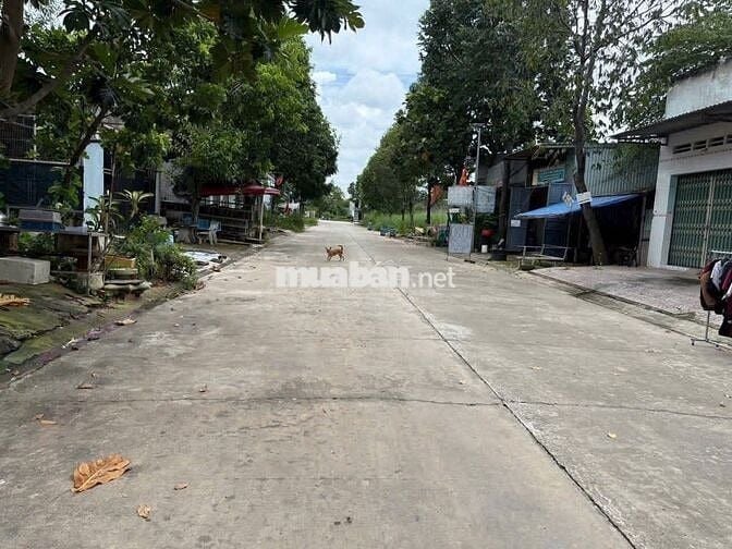 Bán nhanh đất 5x30m full thổ tại Thới Hòa, Bến Cát – Giá tốt 1,8 tỷ