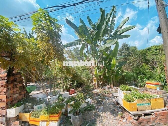 CHỦ GIẢM MẠNH GIÁ CÒN 37 TỶ🔥 ĐẤT 3 MẶT HẺM — Ô TÔ VÀO TẬN NƠI